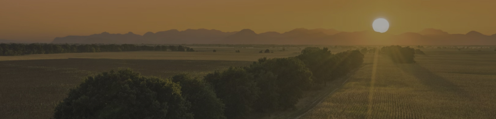 Финансы. Консалтинг. Менеджмент.