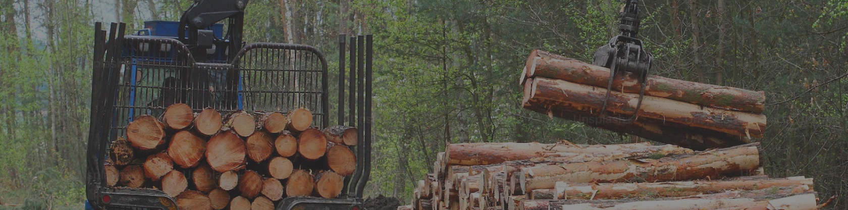 Лесозаготовительная техника